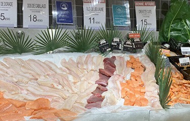 darknet markets norway 2025