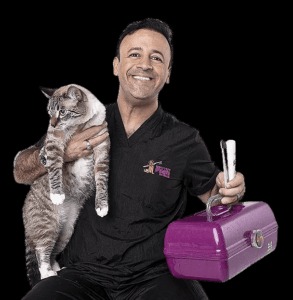 darknet markets still up