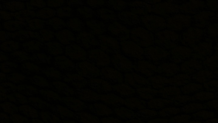 black market websites tor