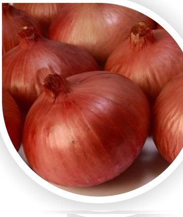 onion dark website