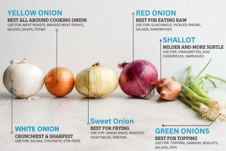 onion domain and kingdom