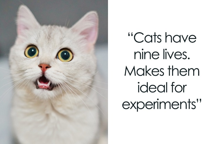 dark web search engines link