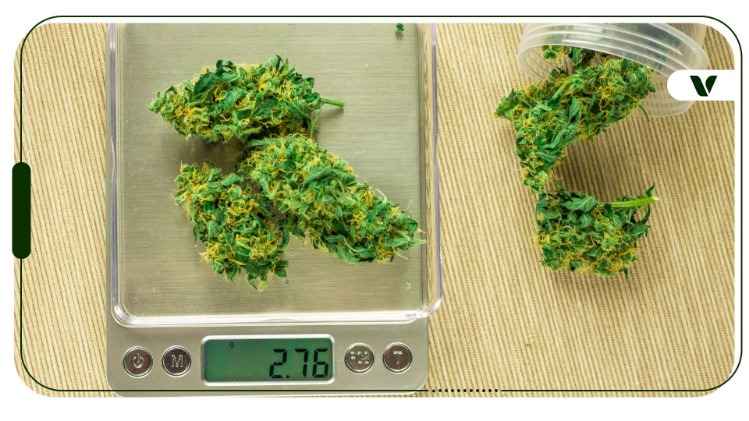 weed only darknet market