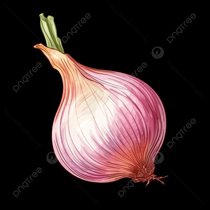 onion seiten 2023