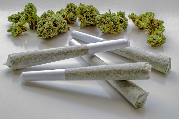 weed darknet market