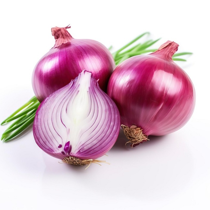 onion directory 2023