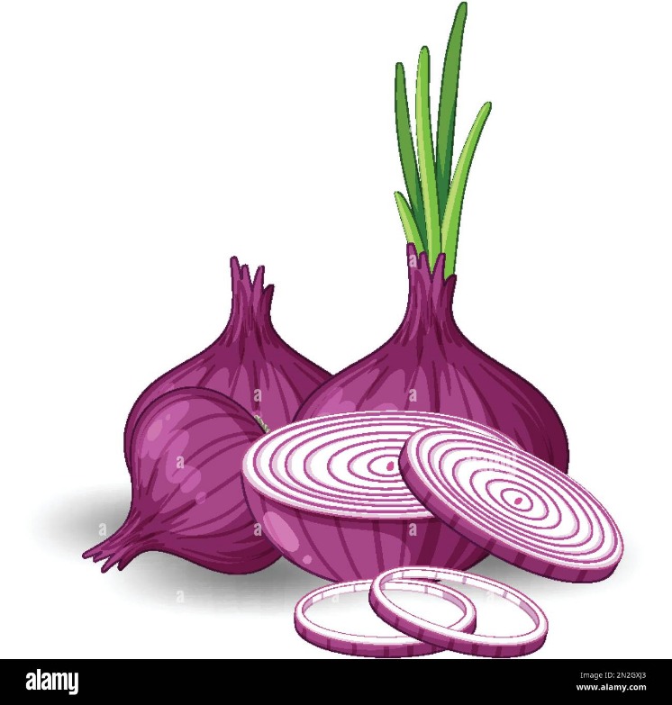 onion directory 2023