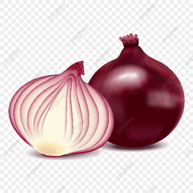 onion directory 2023