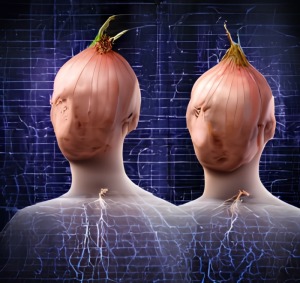 tor for dark web