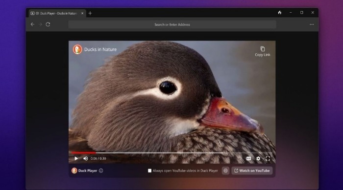 duckduckgo dark web search