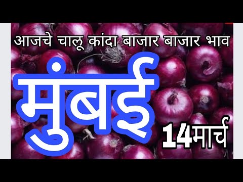 live onion market