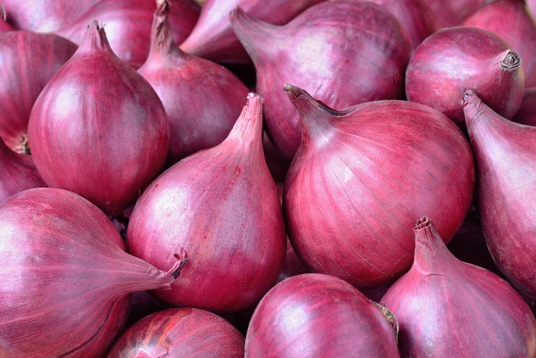 onion directory 2023