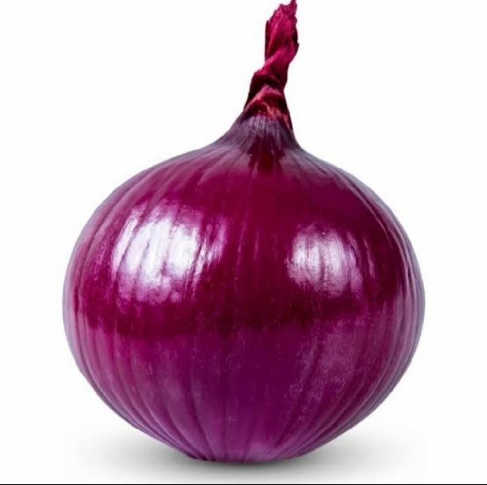 onion directory 2023