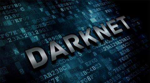 nexus darknet
