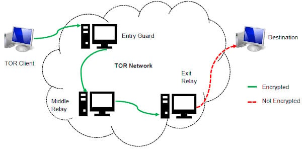 the dark web url
