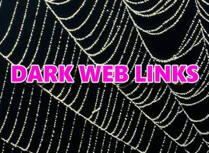 the dark web links 2025