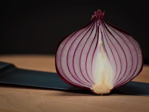 tor link search engine
