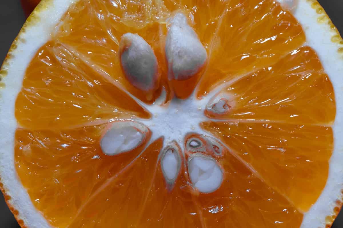 orange sunshine lsd