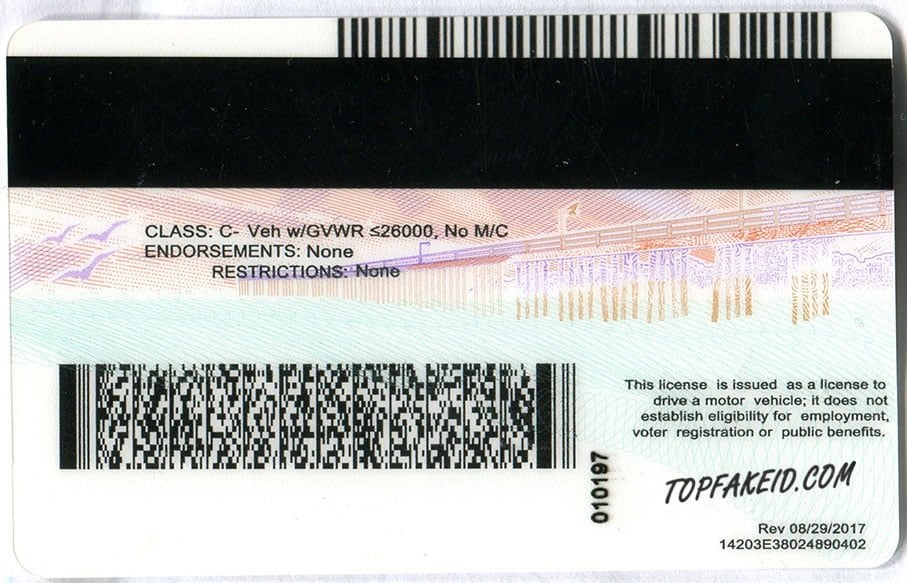 fake id dark web 2025